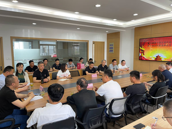 成功召开四十选区董浜镇党代会代表选举大会